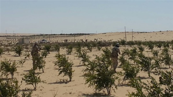 صدى العرب