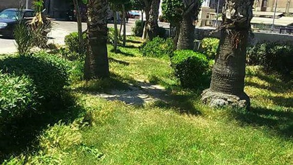 صدى العرب