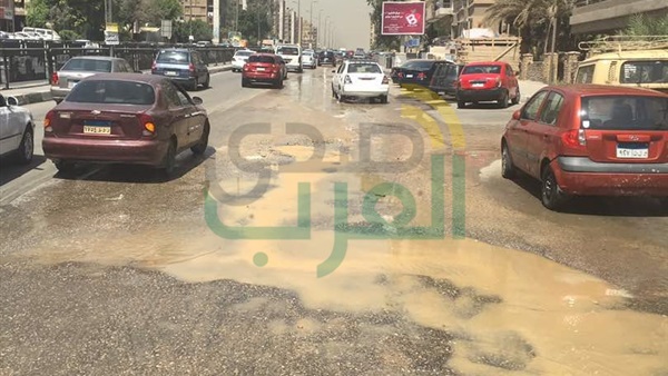 صدى العرب