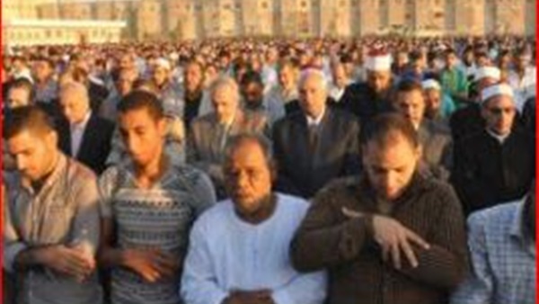 صدى العرب