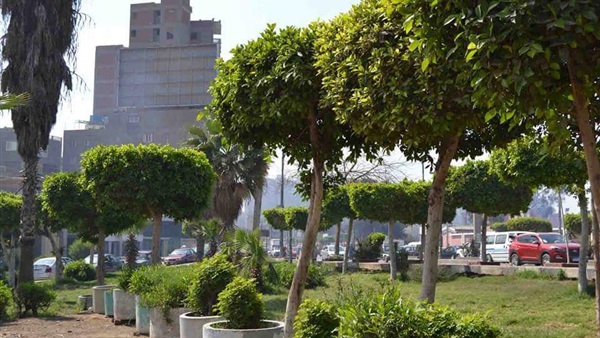 صدى العرب