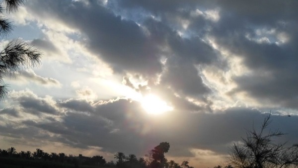 صدى العرب