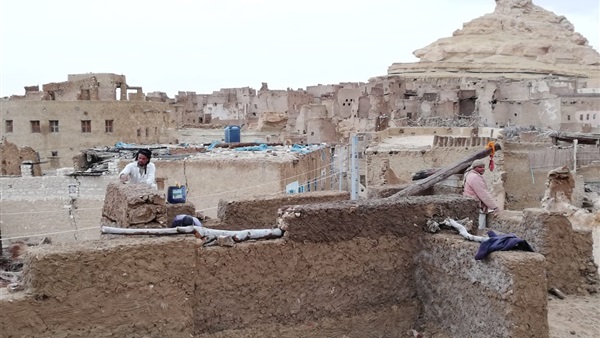 صدى العرب