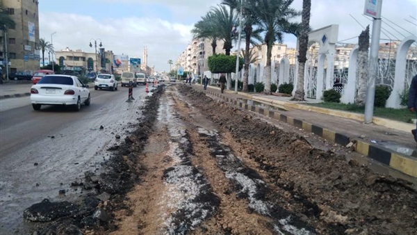 صدى العرب