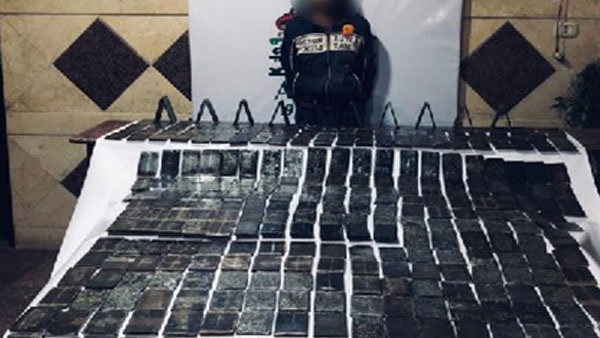 صدى العرب