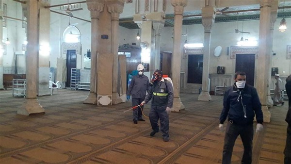 صدى العرب