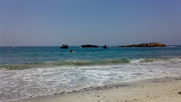 صدى العرب