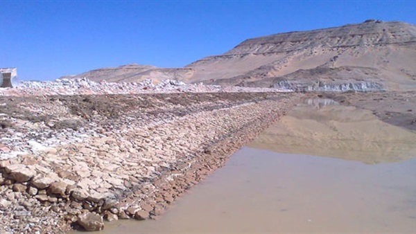صدى العرب