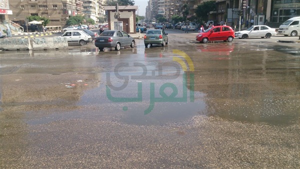 صدى العرب