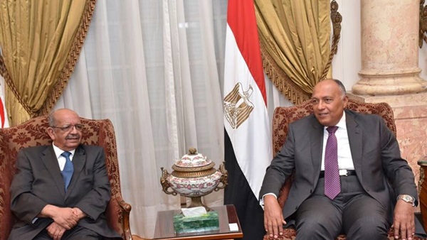 صدى العرب