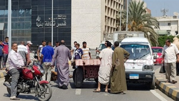 صدى العرب