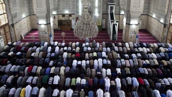 صدى العرب