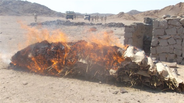 صدى العرب