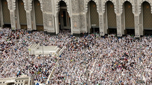 صدى العرب