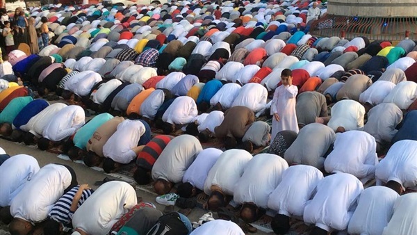 صدى العرب