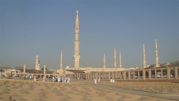 صدى العرب