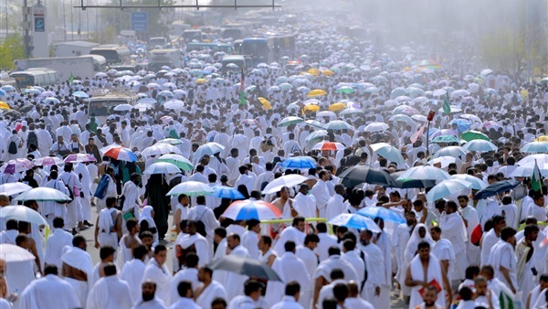صدى العرب