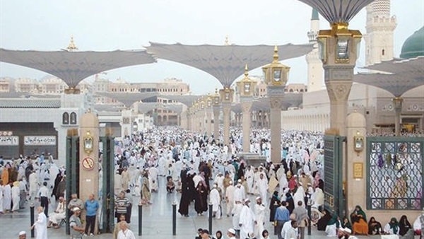 صدى العرب