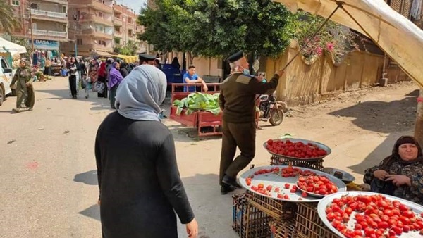 صدى العرب