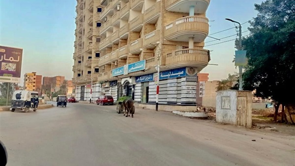 صدى العرب