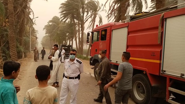 صدى العرب