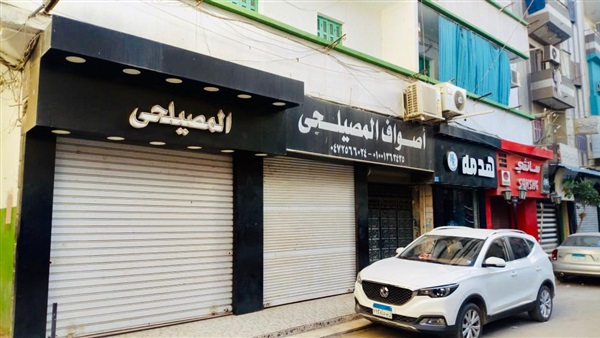صدى العرب