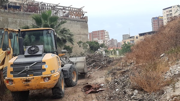 صدى العرب