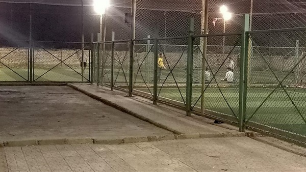 صدى العرب
