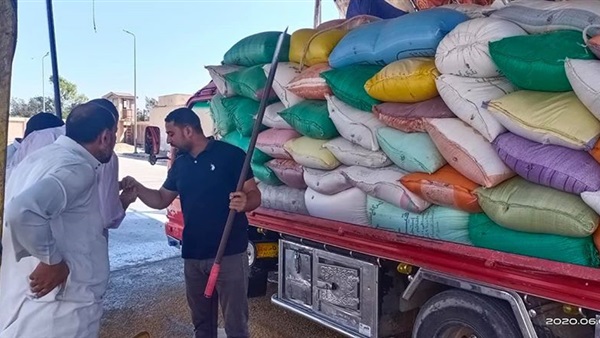 صدى العرب