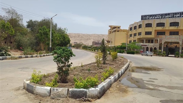 صدى العرب