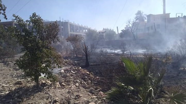 صدى العرب