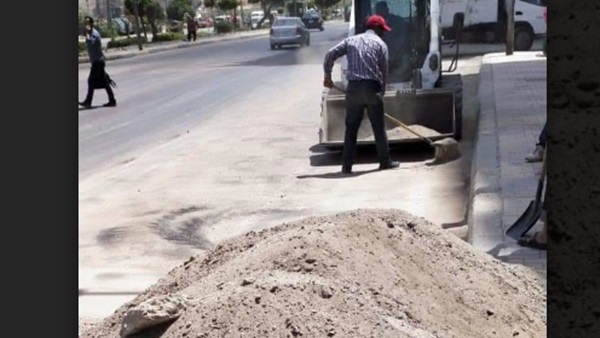 صدى العرب