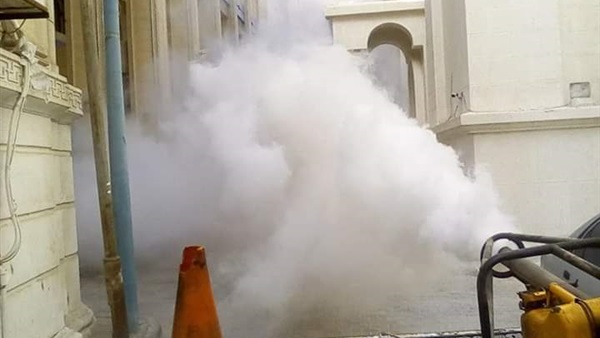 صدى العرب
