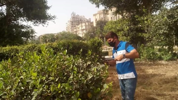 صدى العرب