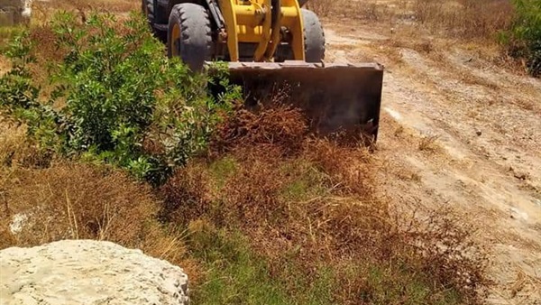 صدى العرب