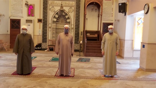 صدى العرب