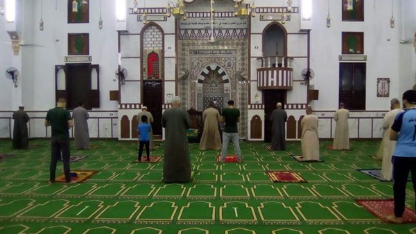 صدى العرب