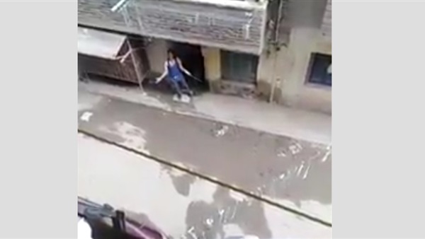صدى العرب