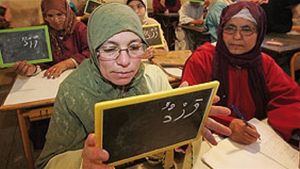 صدى العرب