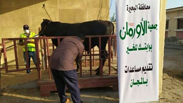 صدى العرب