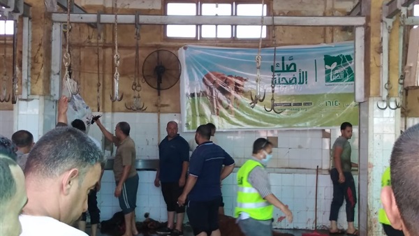 صدى العرب