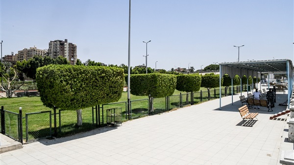 صدى العرب