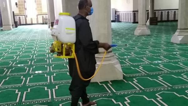 صدى العرب