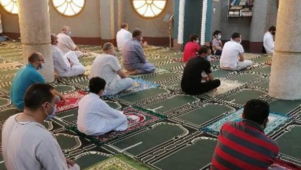 صدى العرب