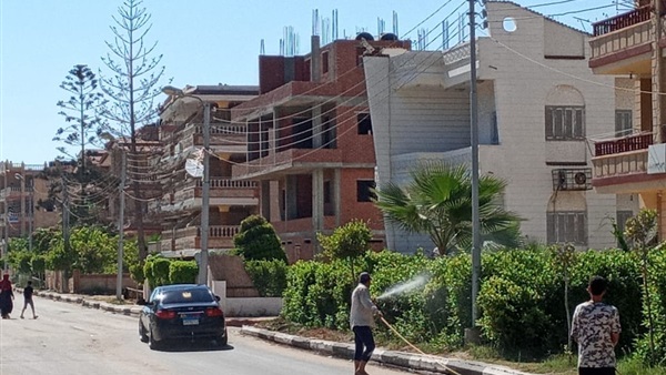 صدى العرب