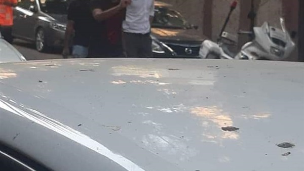 صدى العرب