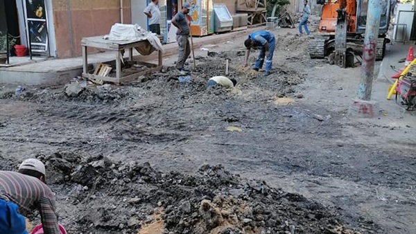 صدى العرب