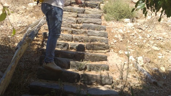 صدى العرب