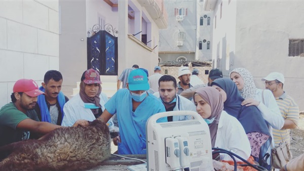 صدى العرب