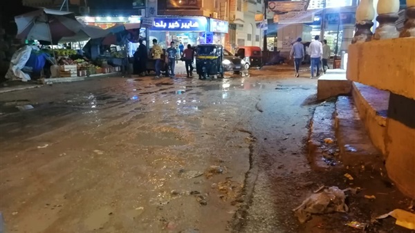 صدى العرب